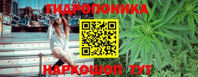 jwh Краснознаменск