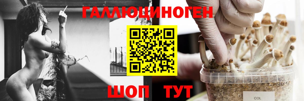 Кисловодск  сколько стоит  Вход с VPN  Галлюциногенные грибы GOLDEN TEACHER 